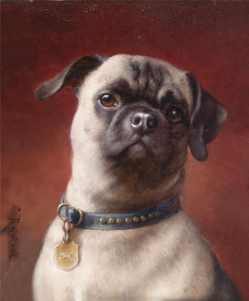 Pug, vintage artwork by Carl Reichert, 12x8" (A4) Poster