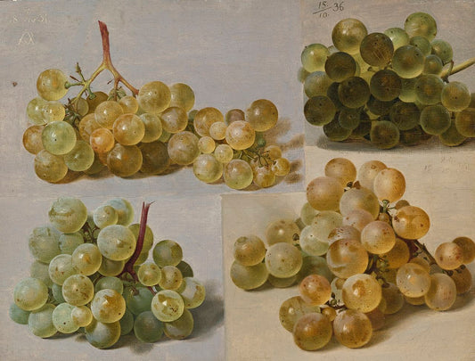 White Grapes, vintage artwork by Johann Wilhelm Preyer, A3 (16x12") Poster Print