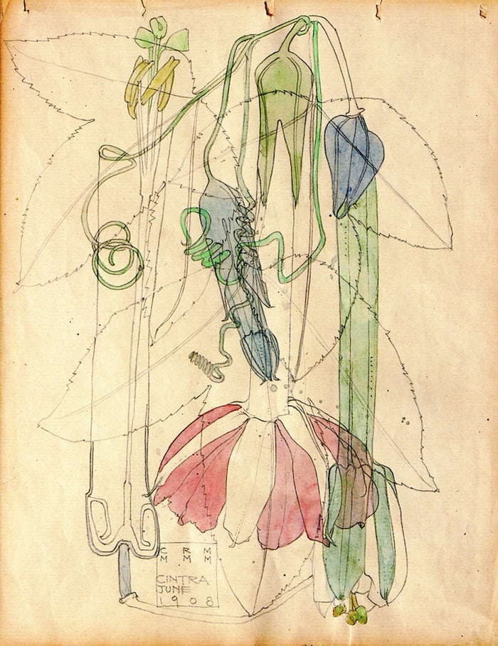 Cintra by Charles Rennie MacKintosh,A3(16x12
