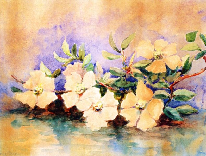 Cherokee Roses, vintage artwork by Felix de Crano, 12x8" (A4) Poster