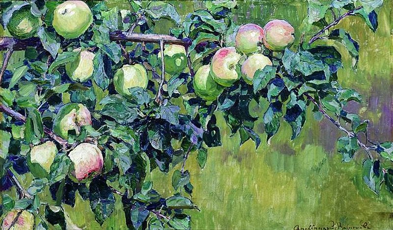 An Apple Branch by Apollinari Vasnetsov,A3(16x12")Poster