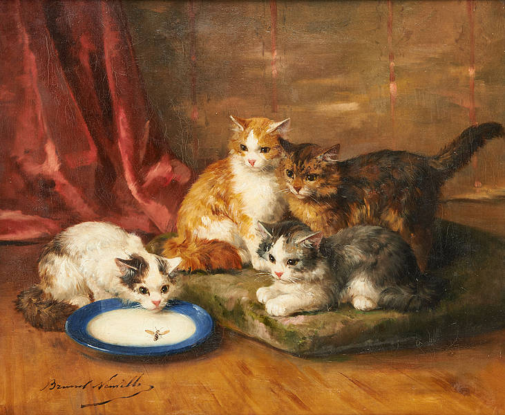quatre chatons avec une guepe dans la patte, vintage artwork by Alfred Brunel de Neuville, 12x8" (A4) Poster