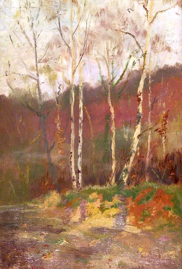Silver Birch Trees, vintage artwork by Walter Duncan, 12x8" (A4) Poster