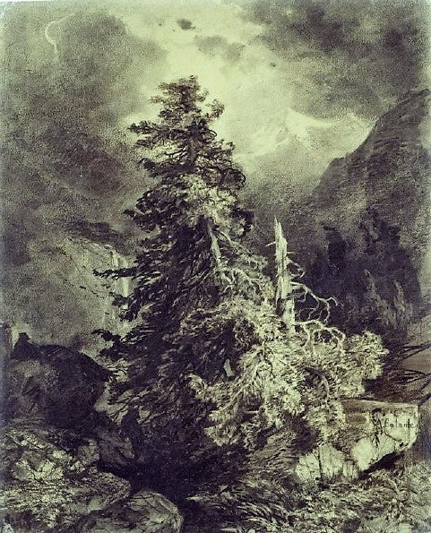 Wettertanne im Hochgebirge (Spruce Tree in the Alps), vintage artwork by Alexandre Calame, A3 (16x12") Poster Print