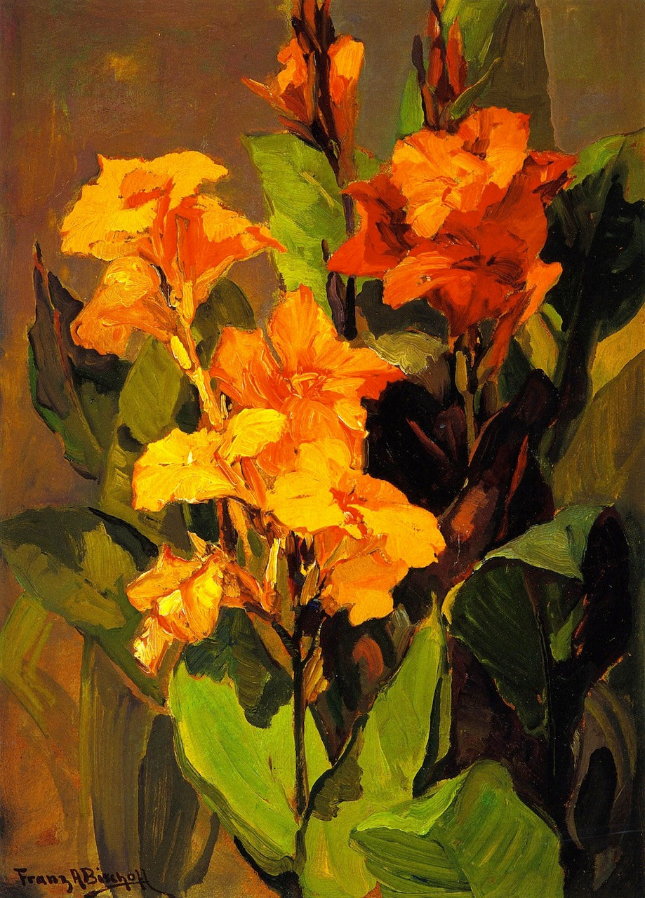 Canna Lilies by Franz Bischoff,A3(16x12")Poster