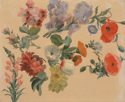 Studies of Summer Flowers, vintage artwork by Jacques-Laurent Agasse, 12x8" (A4) Poster