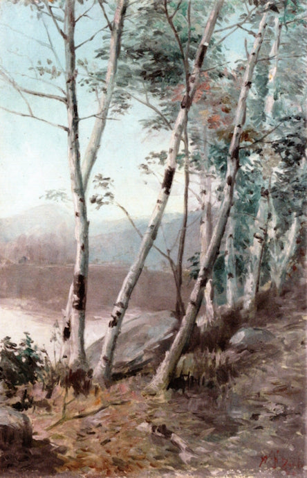 White Birches, vintage artwork by William Herbert Dunton, 12x8" (A4) Poster
