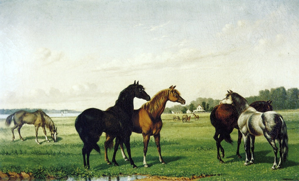 Horses in a Pasture, vintage artwork by William Aiken Walker, 12x8" (A4) Poster