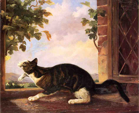 Cat Stalking a Butterfly, vintage artwork by John Woodhouse Audubon, A3 (16x12") Poster Print