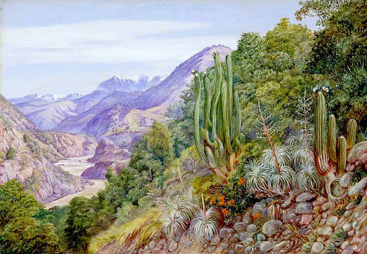 The Baths of Cauquenas in the Cordilleras, South of Santiago, Chili, vintage artwork by Marianne North, 12x8" (A4) Poster