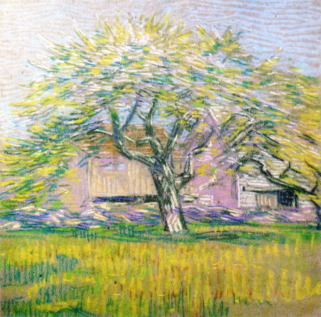 Tree in Bloom by Charles Salis Kaelin,A3(16x12")Poster