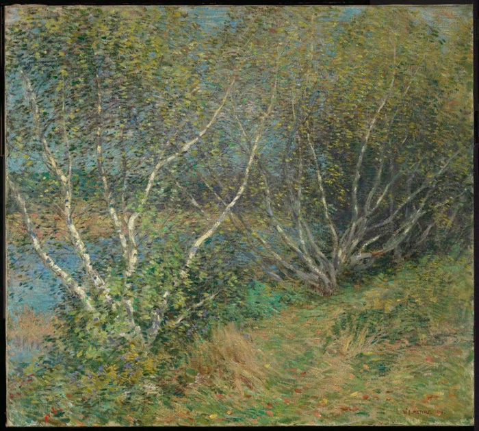 The Birches by Willard Leroy Metcalf,A3(16x12