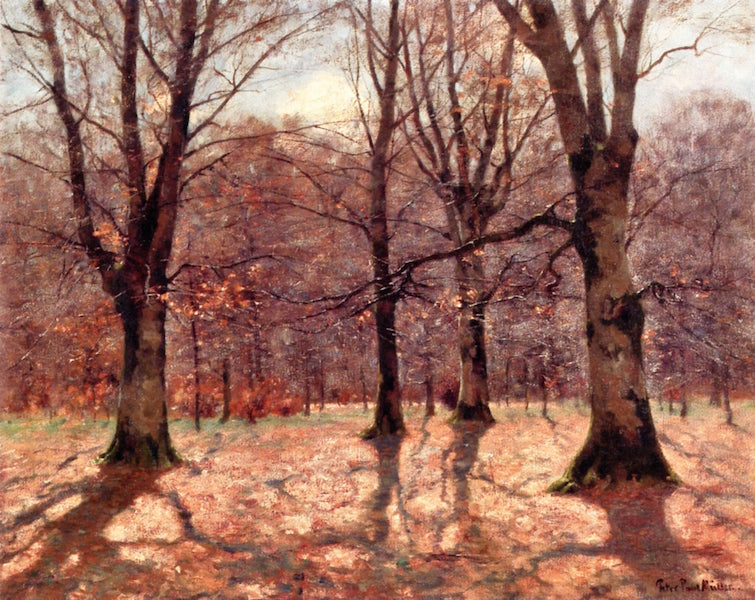 Thru the Woods by Peter Paul Muller,A3(16x12")Poster
