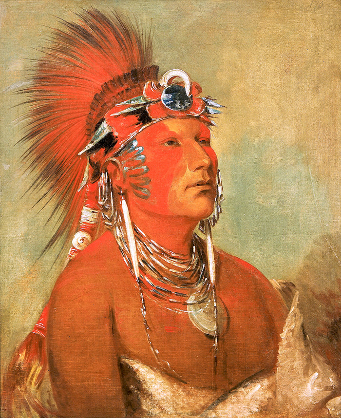 Jee-he-o-hó-shah, Cannot Be Thrown Down, a Warrior, vintage artwork by George Catlin, A3 (16x12