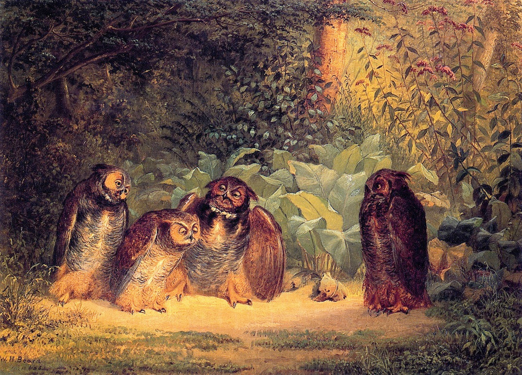 Owls, vintage artwork by William Holbrook Beard, 12x8" (A4) Poster