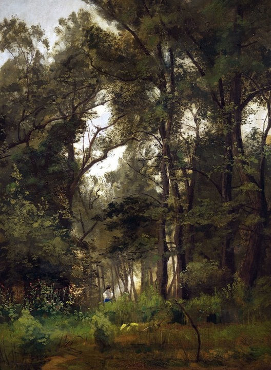 Hornbeam Grove, vintage artwork by László Paál, 12x8" (A4) Poster