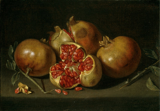 Pomegranate, vintage artwork by Antonio Ponce, 12x8" (A4) Poster