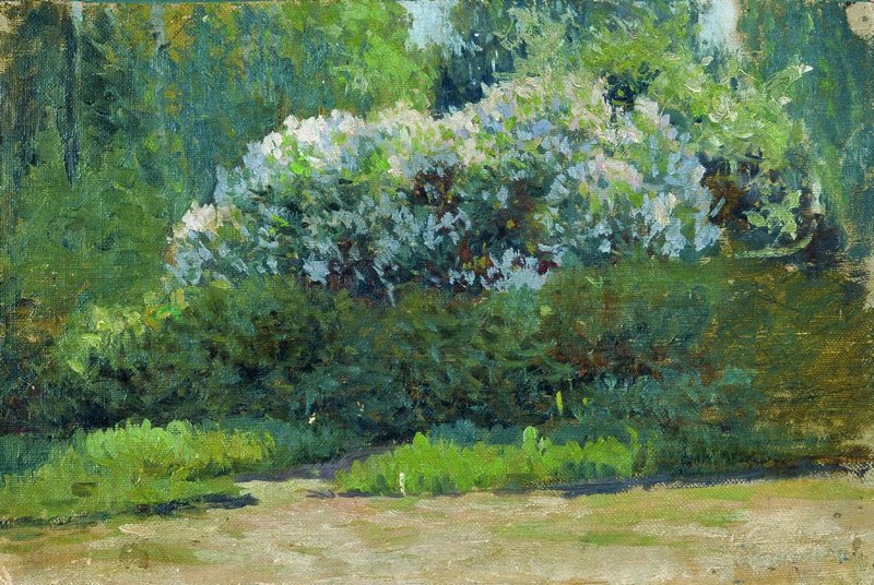 Bush in Blossom by Stanislav Zhukovsky,16x12(A3) Poster