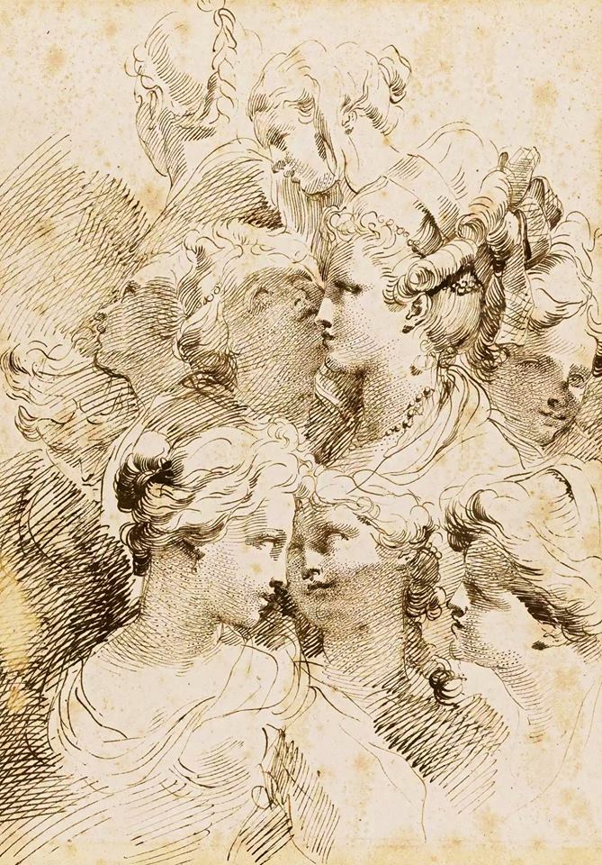 Studies of heads of women with elaborate hair styles, vintage artwork by Gaetano Gandolfi, 12x8" (A4) Poster