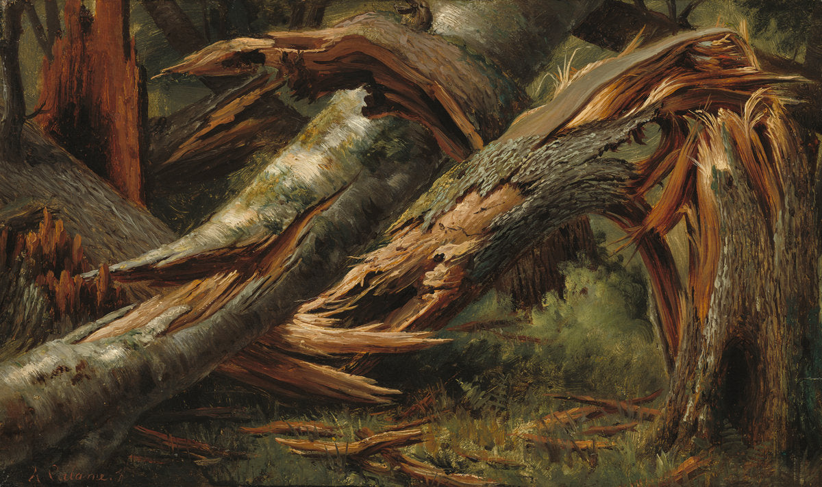 Fallen Tree, vintage artwork by Alexandre Calame, A3 (16x12") Poster Print