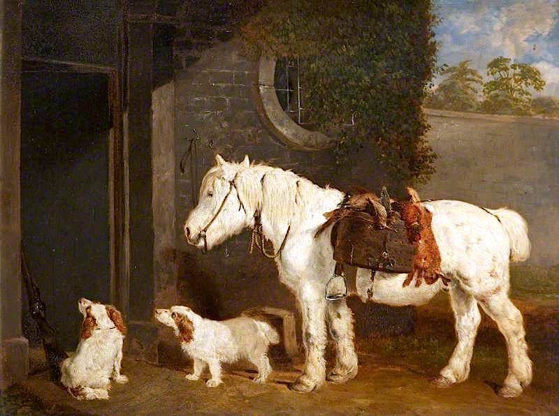 'Scrub', a Shooting Pony Aged 30, and Two Clumber Spaniels, vintage artwork by Abraham Cooper, 12x8" (A4) Poster