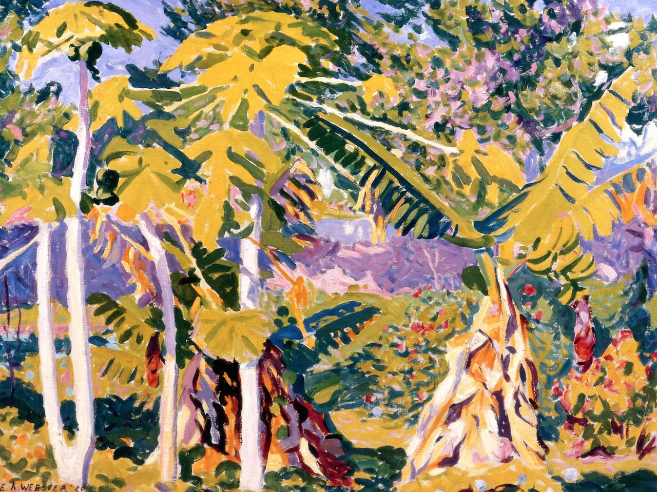 Bermuda, Tropical Floral by Edwin Ambrose Webster,A3(16x12")Poster