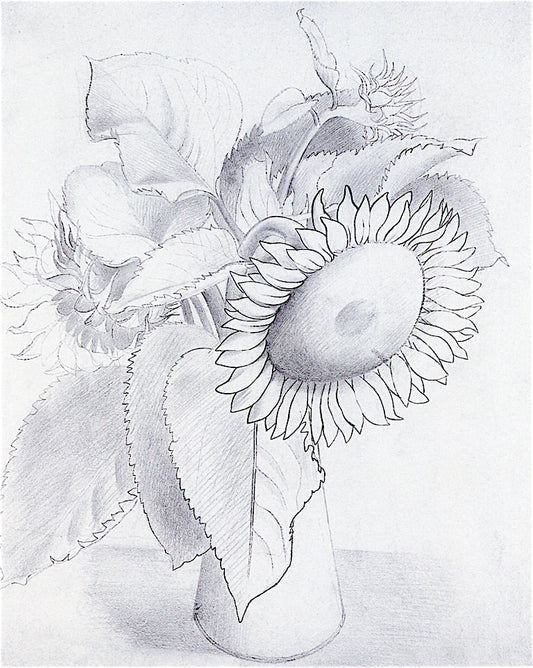 Drawing of a Sunflowers by Eric Ravilious,16x12(A3) Poster