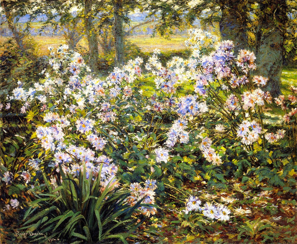 Wildflowers by Gaines Ruger Donoho,A3(16x12")Poster