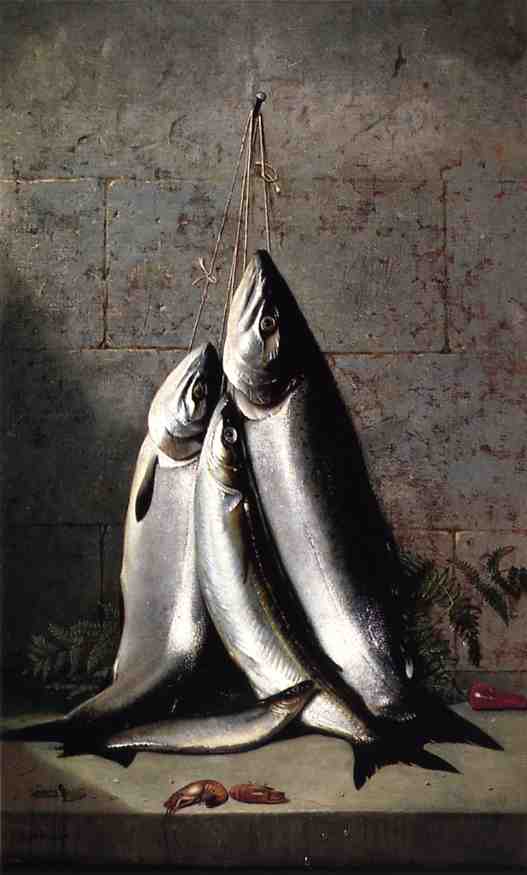 Hanging California Salmon, vintage artwork by Samuel Marsden Brookes, A3 (16x12") Poster Print