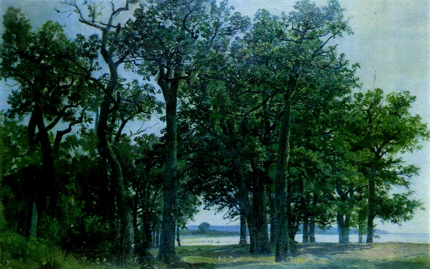 The Edge of an Oak Grove, vintage artwork by Ivan Ivanovich Shishkin, 12x8" (A4) Poster