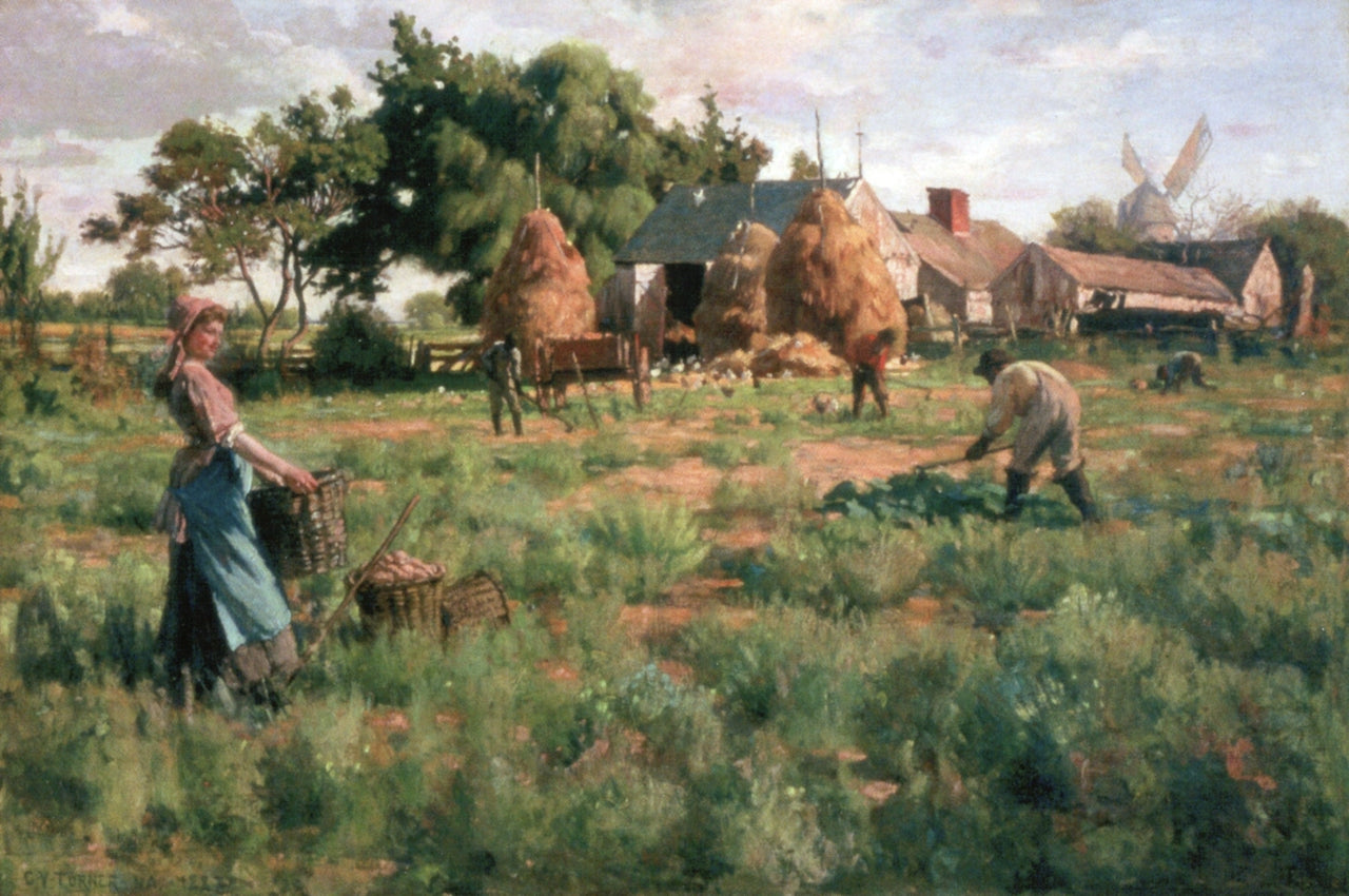 Long Island Potato Patch by Julian Onderdonk,16x12(A3) Poster