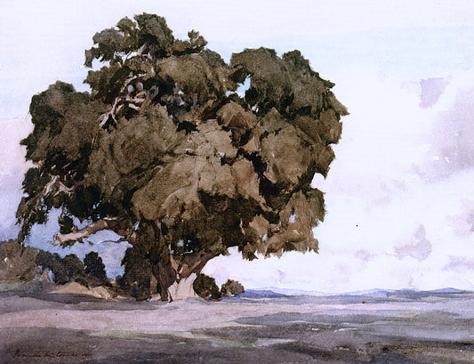 A Los Olivos Oak, vintage artwork by Francis John McComas, 12x8" (A4) Poster