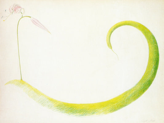 Lily and Green Squash, vintage artwork by Joseph Stella, 12x8" (A4) Poster