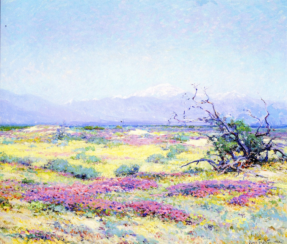 The Flowering Desert by John Frost,16x12(A3) Poster