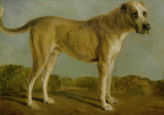 Hunting Dog, vintage artwork by Jacques-Laurent Agasse, 12x8" (A4) Poster