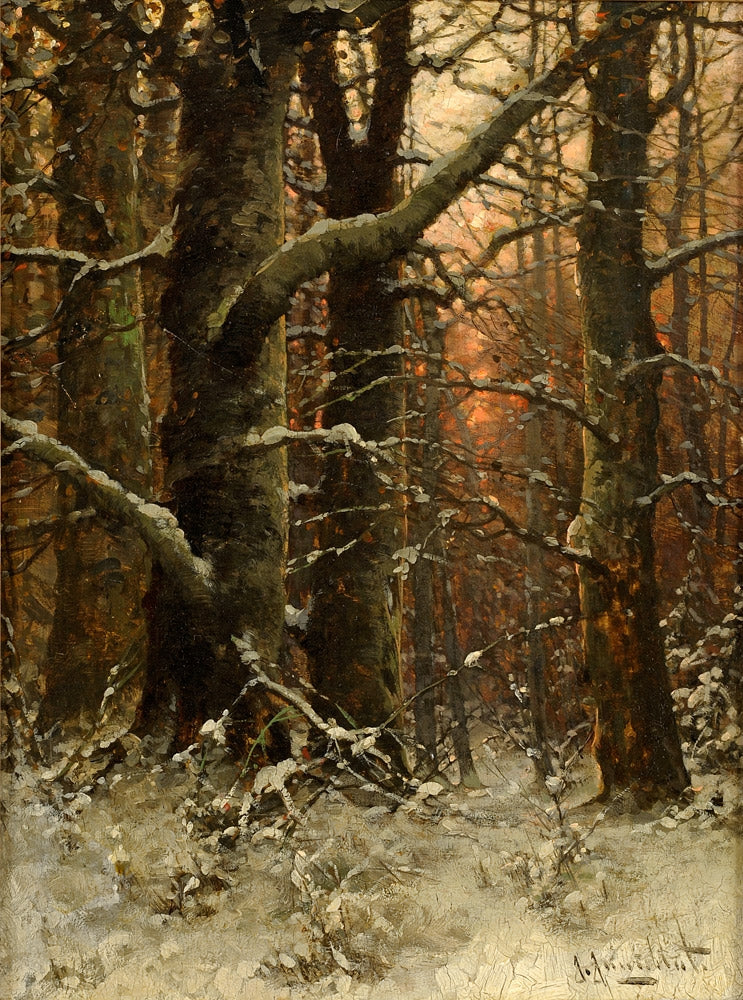 Winter Forest by Johann Jungblut,A3(16x12")Poster