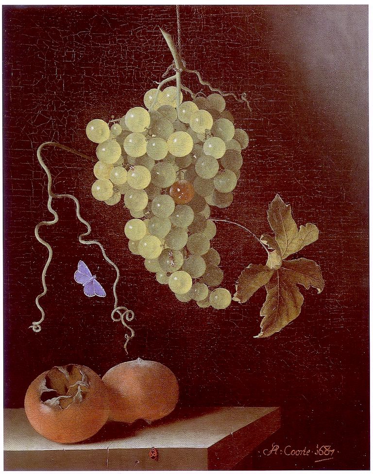 Still life with Hanging Bunch of Grapes, Two Medlars and a Butterfly, vintage artwork by Adriaen Coorte, 12x8" (A4) Poster