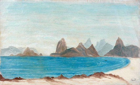The Bay of Rio de Janeiro, vintage artwork by Francois-Auguste Biard, A3 (16x12") Poster Print