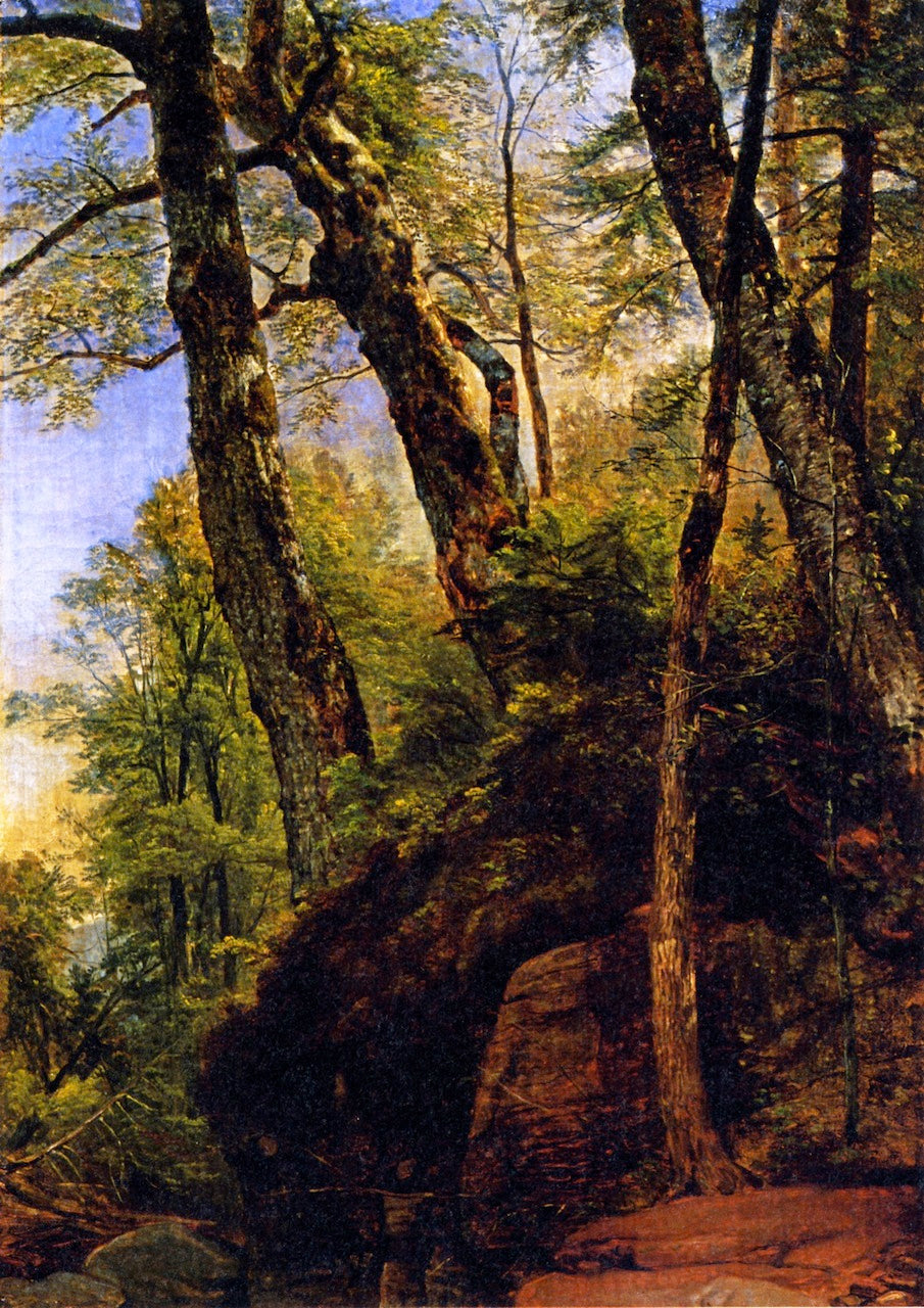 Black Birches, Catskill Mountains, vintage artwork by Asher Brown Durand, A3 (16x12") Poster Print