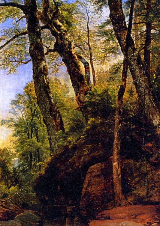 Black Birches, Catskill Mountains, vintage artwork by Asher Brown Durand, A3 (16x12") Poster Print