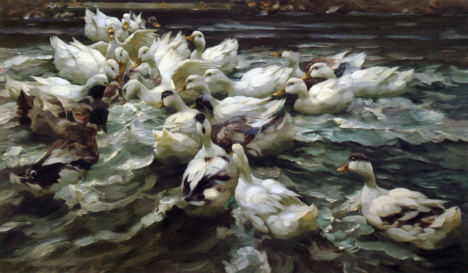 Ducks in a Pond, vintage artwork by Alexander Koester, 12x8" (A4) Poster