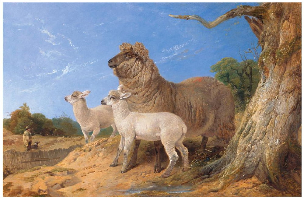 Ewe with Lambs, vintage artwork by Richard Ansdell, A3 (16x12") Poster Print