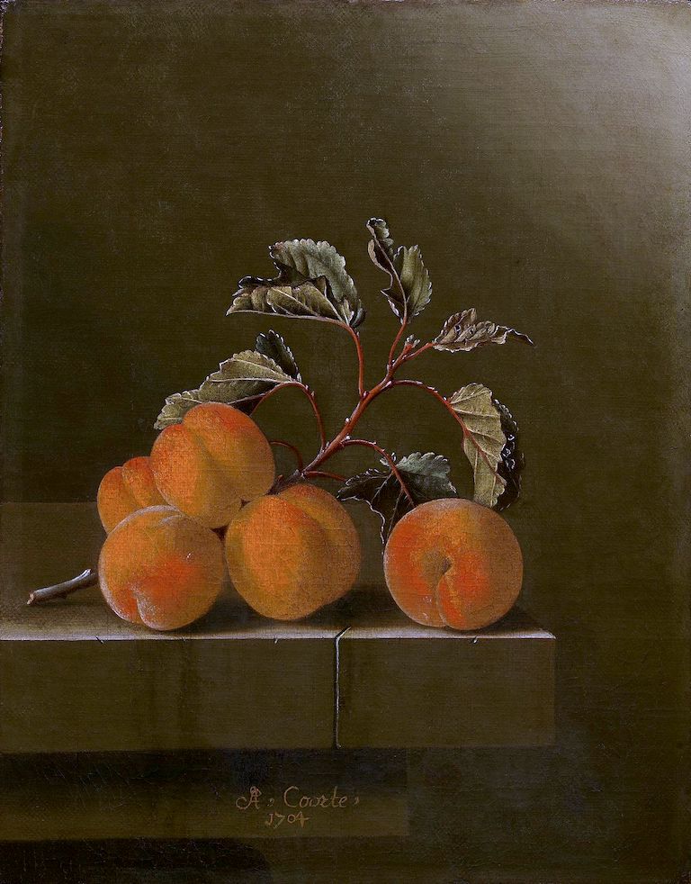 Still Life with Five Apricots, vintage artwork by Adriaen Coorte, 12x8" (A4) Poster