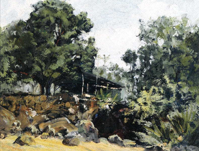 Upper Kona Coffee Shack by David Howard Hitchcock,A3(16x12")Poster