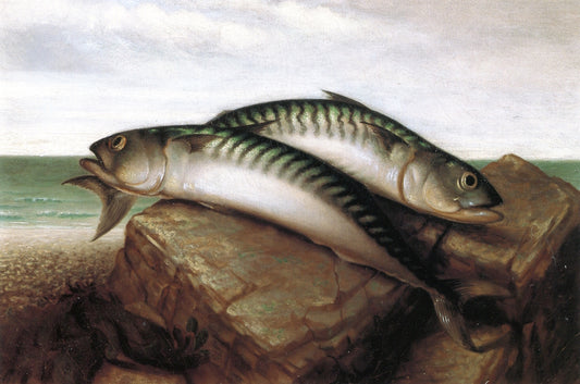 Prize Catch, vintage artwork by Hannah Brown Skeele, 12x8" (A4) Poster