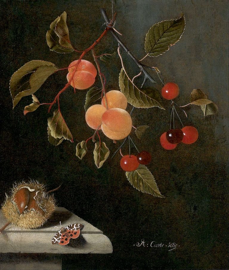 Still life with a Butterfly, Apricots, Cherries, and a Chestnut, vintage artwork by Adriaen Coorte, 12x8" (A4) Poster