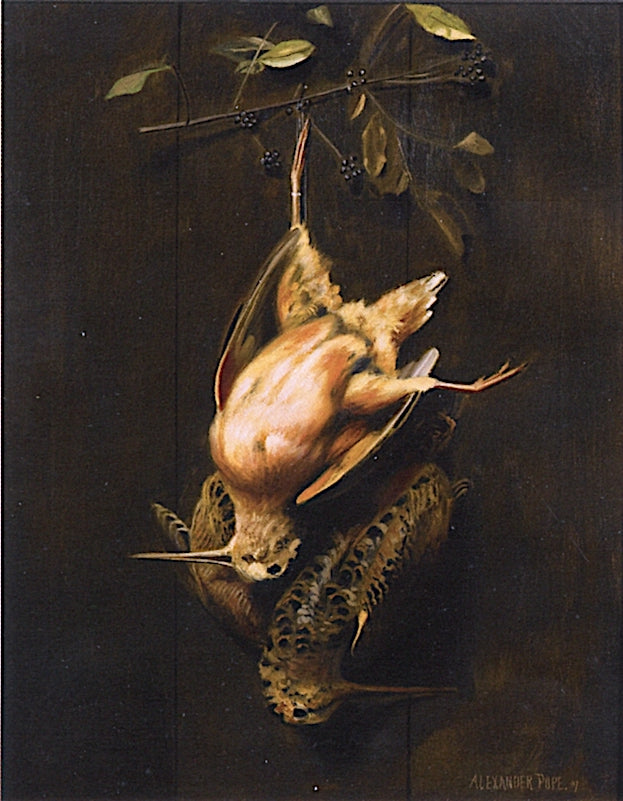 Two Hanging Woodcock, vintage artwork by Alexander Pope, 12x8" (A4) Poster