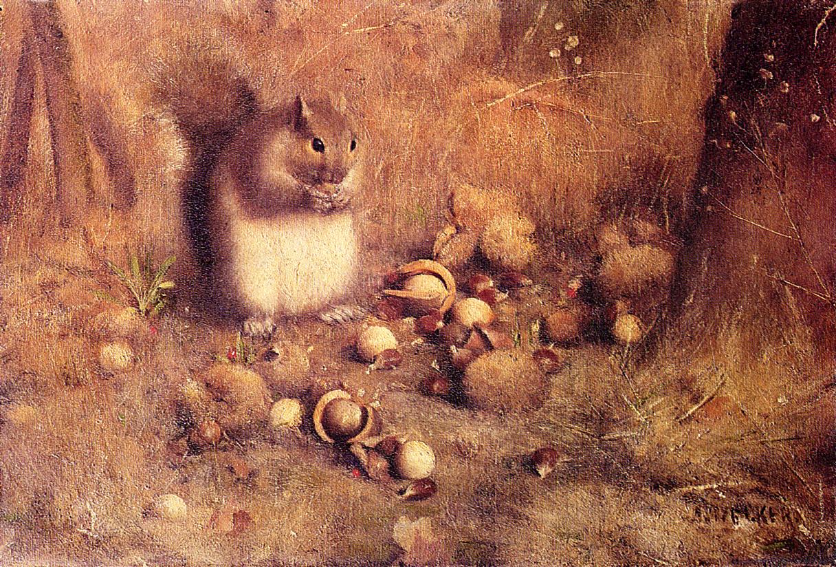 Squirrel with Nuts by Joseph Decker,A3(16x12")Poster
