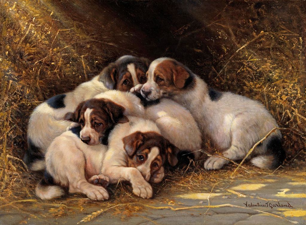 Four Puppies in a Haystack by Valentine Thomas Garland,A3(16x12")Poster