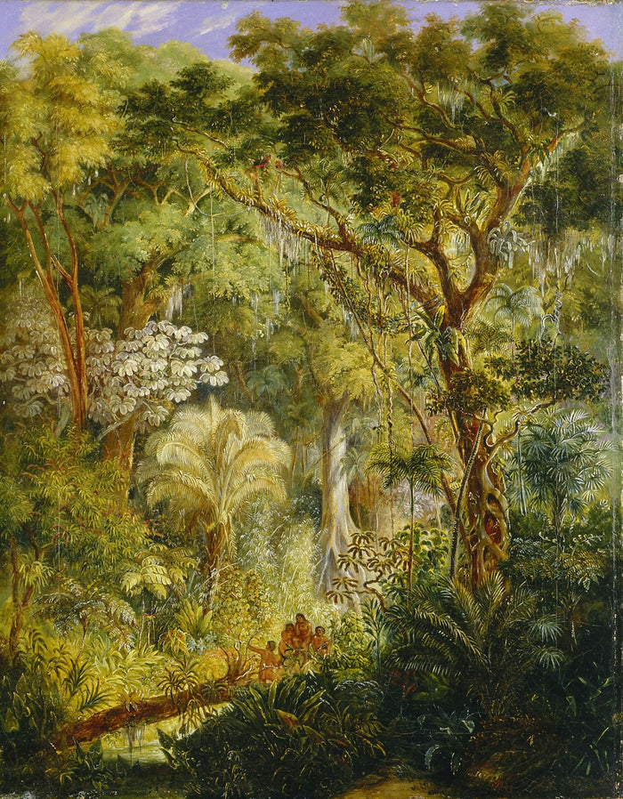 Giant Tree in Brazil's Tropical Forest, vintage artwork by Johann Moritz Rugendas, A3 (16x12